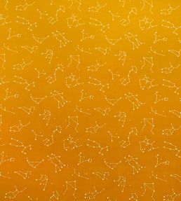Zodiac Fabric by Casal Soleil