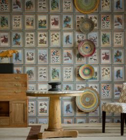 Zoology Wallpaper by Andrew Martin Multi