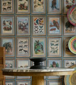 Zoology Wallpaper by Andrew Martin Multi