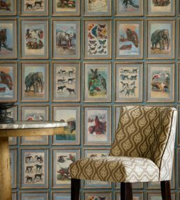 Zoology Wallpaper by Andrew Martin Multi