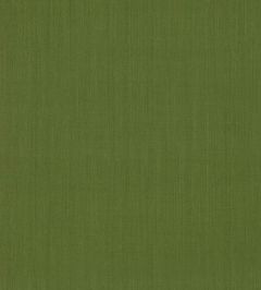 Cubby Fabric by GP & J Baker Forest