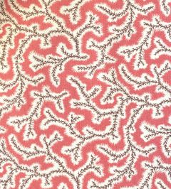 Dulcie Fabric by Ian Sanderson Coral