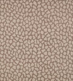 Golconda Fabric by Zinc Taupe