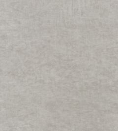 Kings Velvet Fabric by GP & J Baker Silver