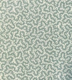 Petra Fabric by Ian Sanderson Mist