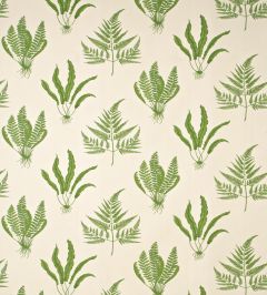 Woodland Ferns Fabric by Sanderson Green