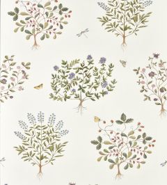 Thyme Walk Wallpaper by Sanderson Damson/Quince