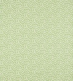 Truffle Fabric by Sanderson Sap Green