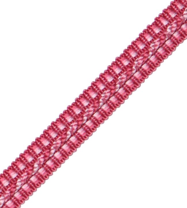 1/2" Le Jardin Silk Gimp Trimming by Samuel & Sons Flamingo