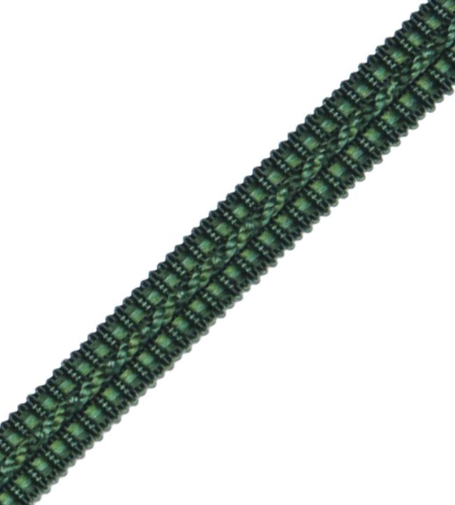 1/2" Le Jardin Silk Gimp Trimming by Samuel & Sons Forest