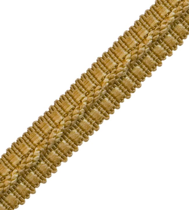 1/2" Le Jardin Silk Gimp Trimming by Samuel & Sons Goldenrod