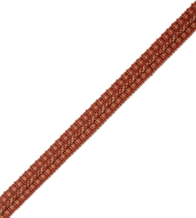 1/2" Le Jardin Silk Gimp Trimming by Samuel & Sons Sienna