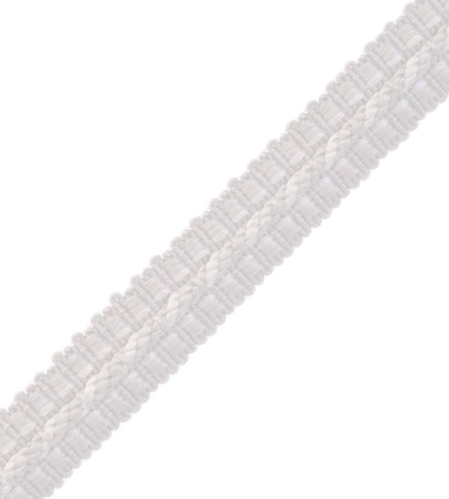 1/2" Le Jardin Silk Gimp Trimming by Samuel & Sons Silver