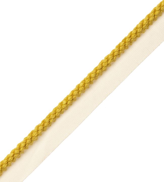 6mm Cambridge Cord With Tape Trimming by Samuel & Sons Pollen