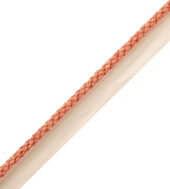 6mm Cambridge Cord With Tape Trimming by Samuel & Sons Shrimp