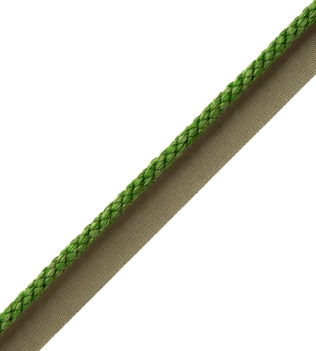 6mm Cambridge Cord With Tape Trimming by Samuel & Sons Spring Green