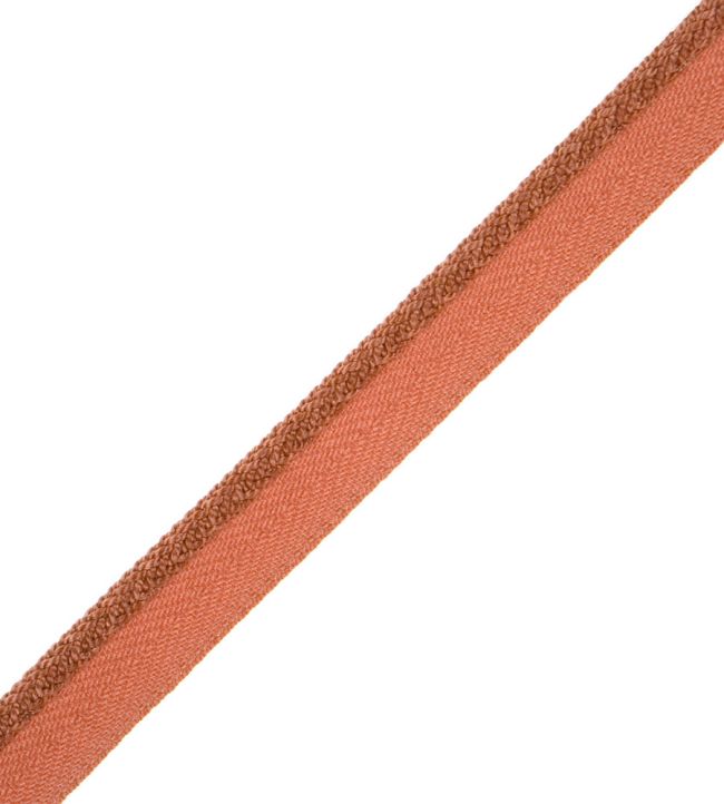1/4" Jardin Silk Cord With Tape Trimming by Samuel & Sons Cinnamon