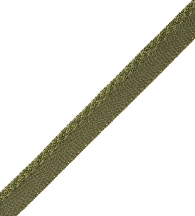 1/4" Jardin Silk Cord With Tape Trimming by Samuel & Sons Grass
