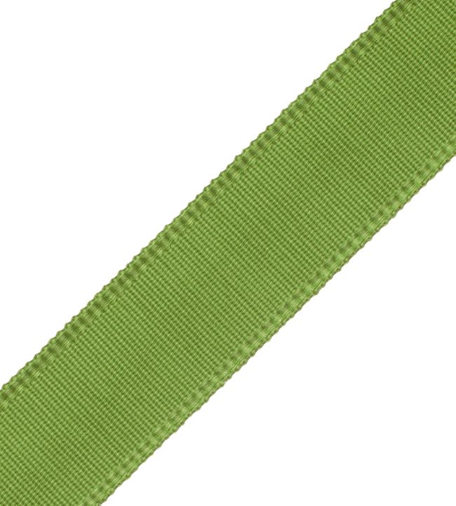 38mm Cambridge Strie Braid Trimming by Samuel & Sons Lime