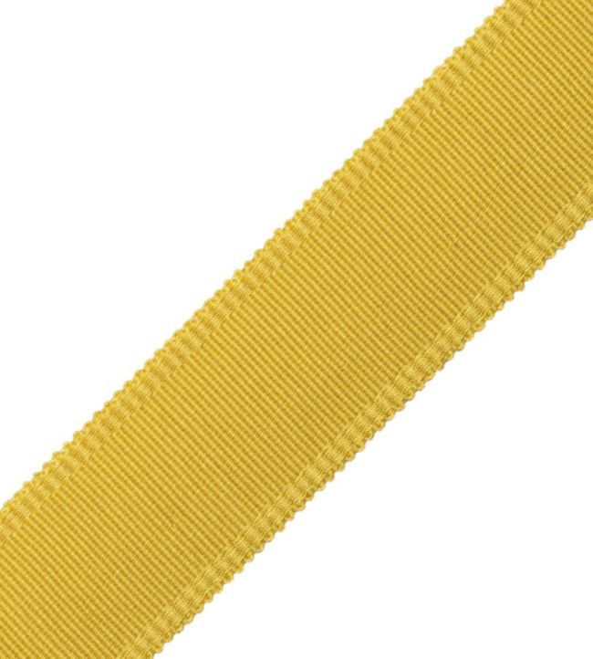 38mm Cambridge Strie Braid Trimming by Samuel & Sons Pollen
