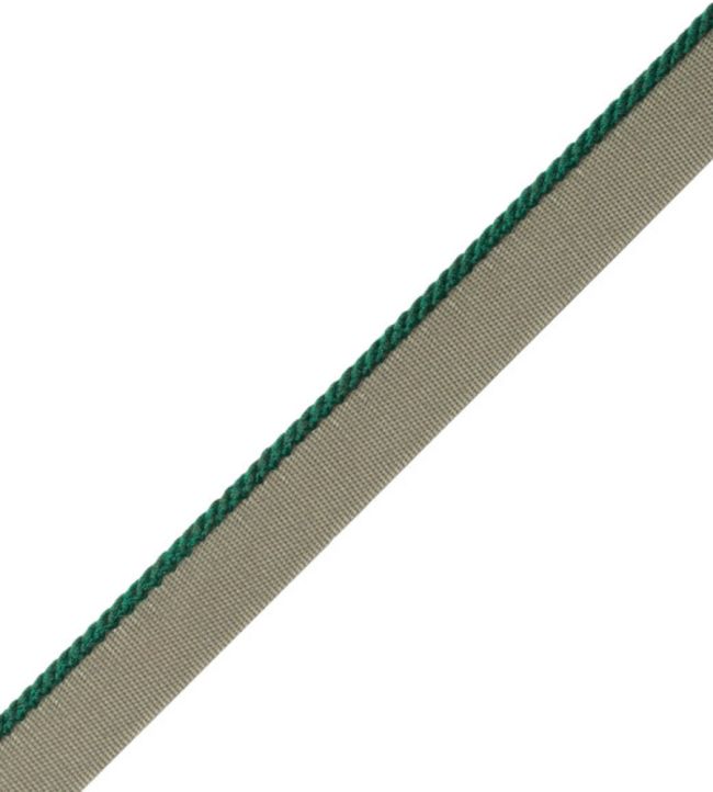 2.5mm Cambridge Cord With Tape Trimming by Samuel & Sons Forest