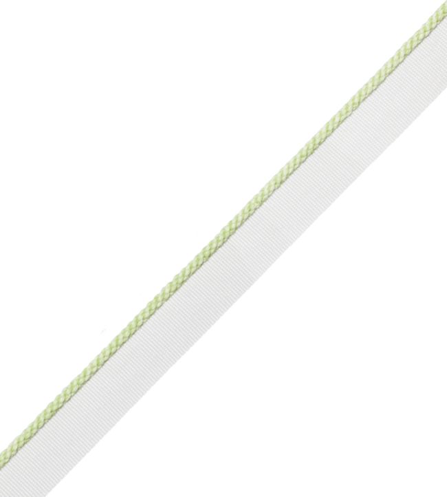 2.5mm Cambridge Cord With Tape Trimming by Samuel & Sons Honey Dew