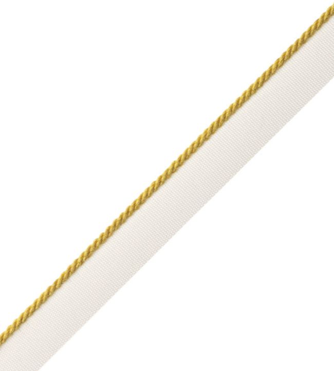 2.5mm Cambridge Cord With Tape Trimming by Samuel & Sons Pollen
