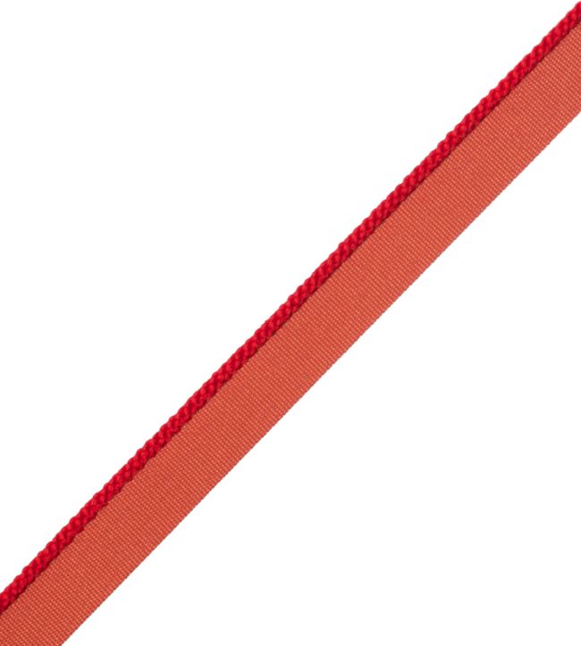 2.5mm Cambridge Cord With Tape Trimming by Samuel & Sons Poppy