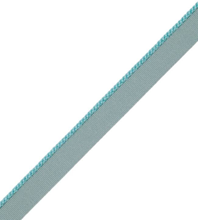 2.5mm Cambridge Cord With Tape Trimming by Samuel & Sons Robins Egg