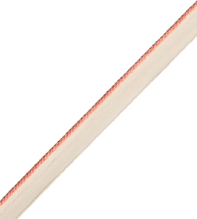 2.5mm Cambridge Cord With Tape Trimming by Samuel & Sons Shrimp