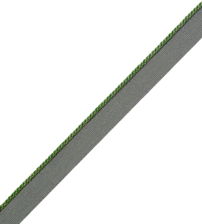 2.5mm Cambridge Cord With Tape Trimming by Samuel & Sons Spring Green