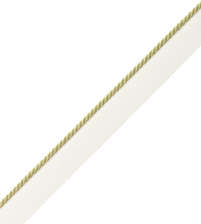 2.5mm Cambridge Cord With Tape Trimming by Samuel & Sons Wasabi