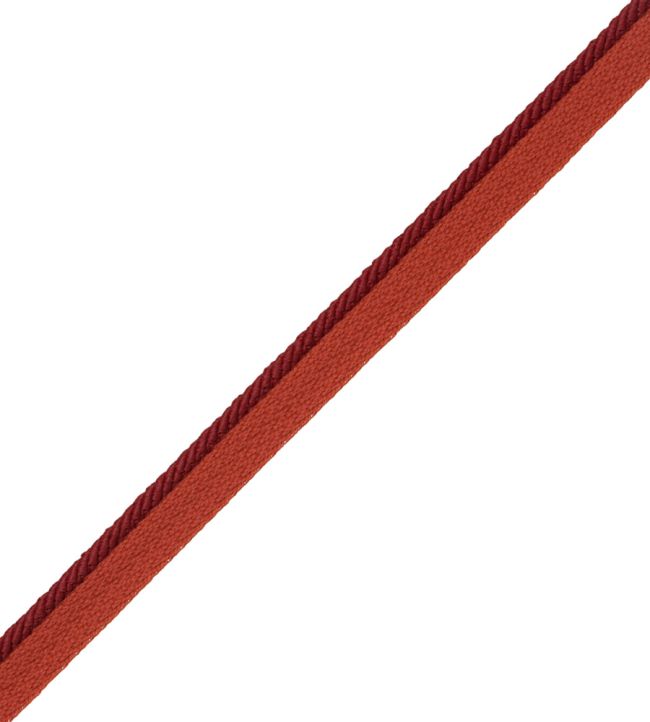 1/8" Saisons Cord With Tape Trimming by Samuel & Sons Boysenberry
