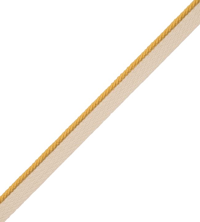 1/8" Saisons Cord With Tape Trimming by Samuel & Sons Sun