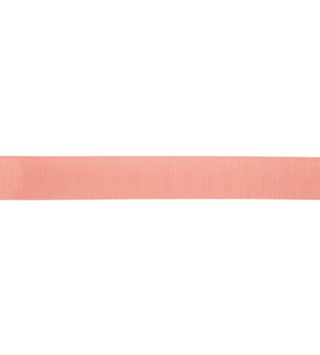 1 French Grosgrain Ribbon Trimming by Samuel & sons Shell