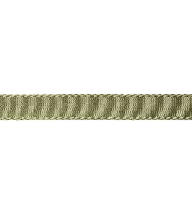 25mm Francoise Border Trimming by Samuel & sons Celadon