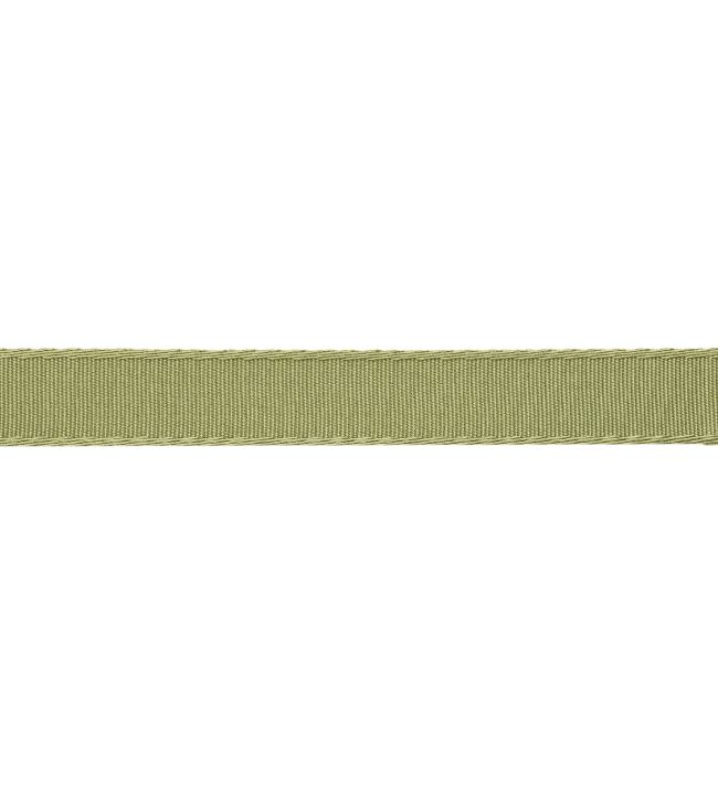 25mm Francoise Border Trimming by Samuel & sons Celery