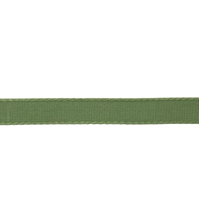 25mm Francoise Border Trimming by Samuel & sons Chive