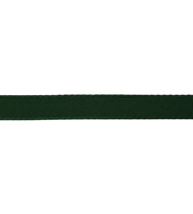 25mm Francoise Border Trimming by Samuel & sons Forest