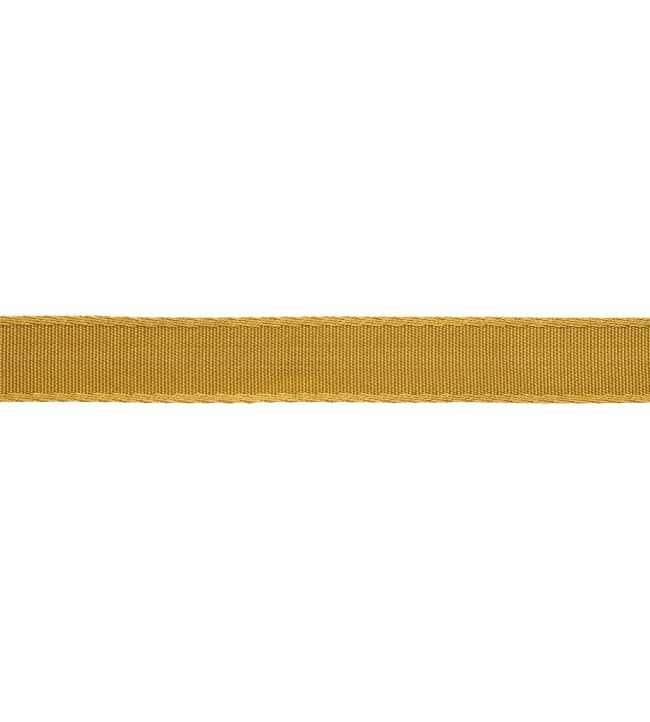 25mm Francoise Border Trimming by Samuel & sons Honey