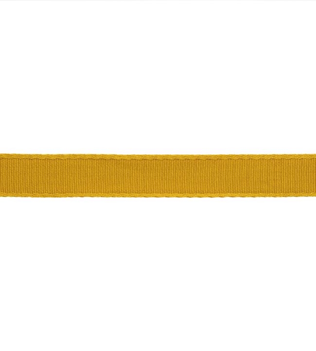 25mm Francoise Border Trimming by Samuel & sons Oro