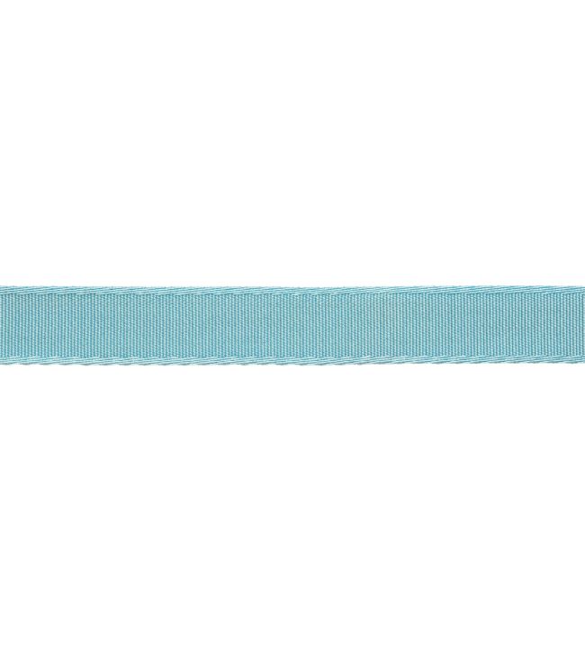 25mm Francoise Border Trimming by Samuel & sons Pool