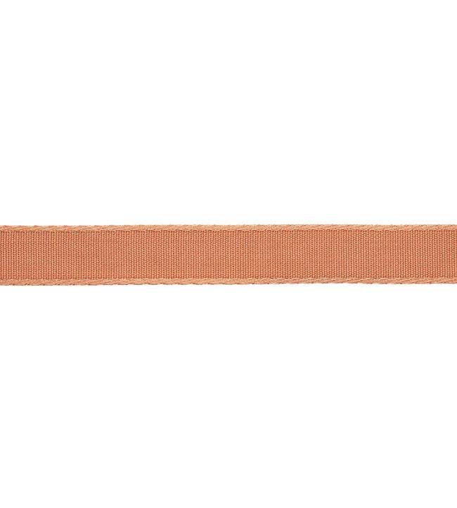 25mm Francoise Border Trimming by Samuel & sons Salmon