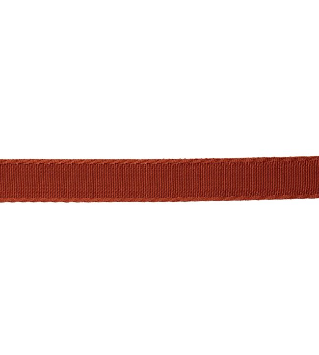 25mm Francoise Border Trimming by Samuel & sons Terra