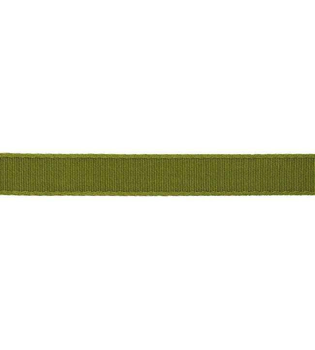 25mm Francoise Border Trimming by Samuel & sons Verde