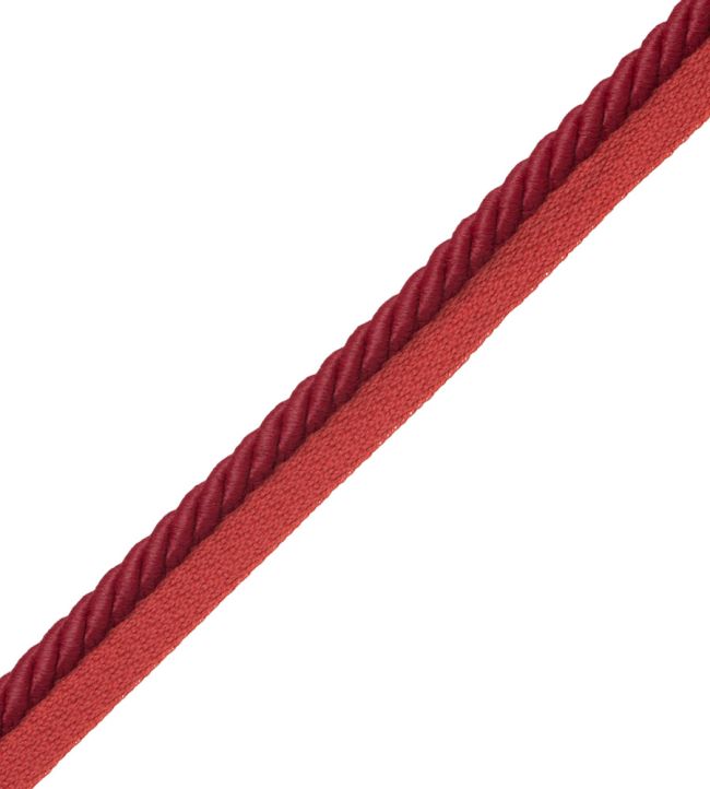 3/8" Saisons Cord With Tape Trimming by Samuel & Sons Boysenberry