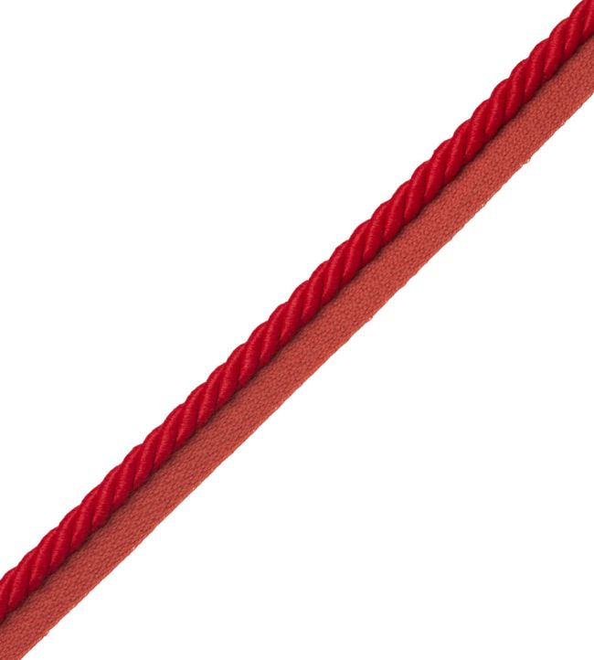 3/8" Saisons Cord With Tape Trimming by Samuel & Sons Geranium