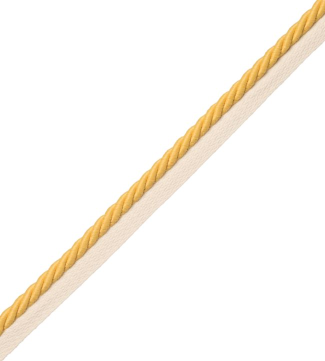 3/8" Saisons Cord With Tape Trimming by Samuel & Sons Sun