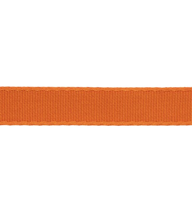 38mm Francoise Border Trimming by Samuel & sons Apricot