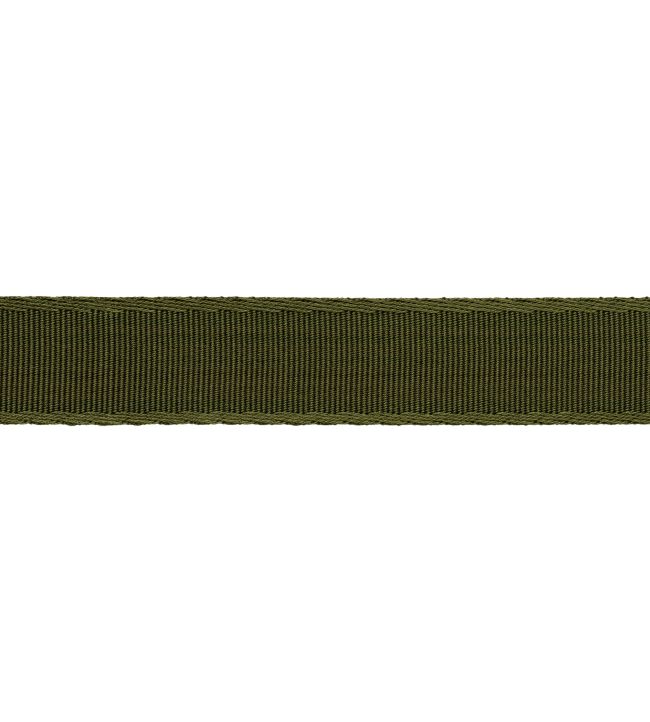 38mm Francoise Border Trimming by Samuel & sons Artichoke